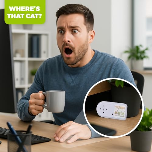 FUN delivery Hidden Cat Sound Prank Device – Pranks Device – Meow Noise Maker with Random Intervals – Funny Gag Toy, Offices, Parties, and Pranksters