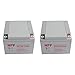 NPP 12V 26Ah 12Volt AGM Sealed Lead Acid Rechargeable Battery Replace PS-12260NB NP24-12B PC26-12NB NPS24-12S and BSL1146, SLA1145, SLA1146-NB Battery Brand Product ?2 Pack ?