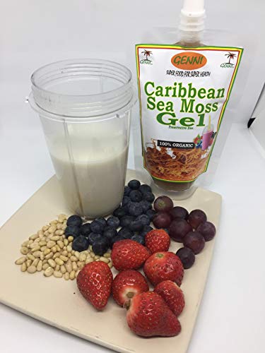 Gel de Mousse de Mer des Caraïbes superfood naturel sans additif pack de 24