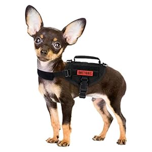 Dog-HarnessNo-Pull-Pet-Harness-with-Easy-Control-Handle-for-Small-Pets No-Pull Dog Harness for Small Pets