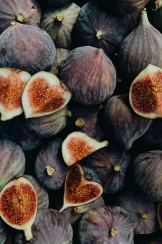 Fresh Figs Journal, Pile of Figs Journal, Real Figs Journal, Fruit Notebook, Diary, 120 Lind Pages