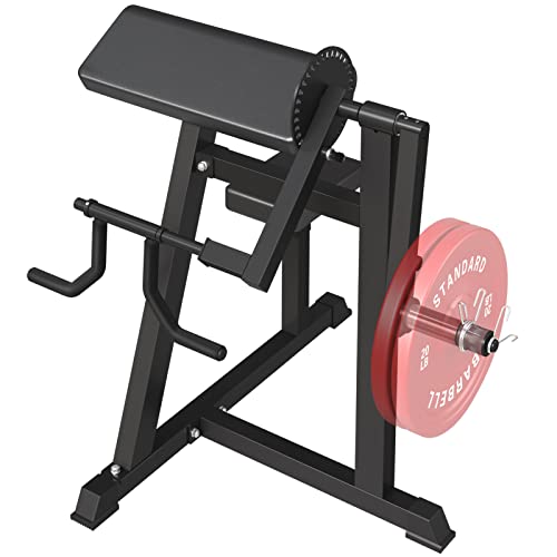 5 Bicep Curl Equipment Essentials Flex Your Muscles Now!