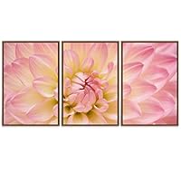 SIGNWIN Framed Canvas Wall Art Pink and Yellow Dahlia Flower Floral Plants Photography Modern Art Contemporary Closeup Relax/Calm Duotone for Living Room, Bedroom, Office - 16