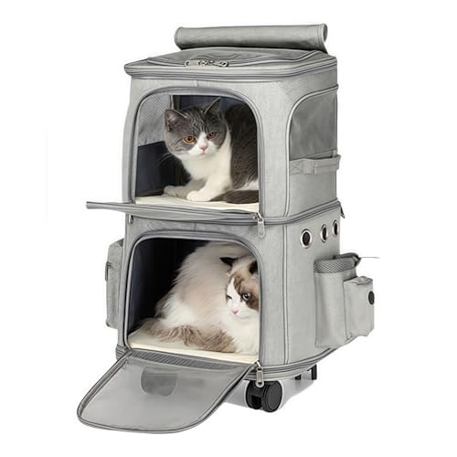 Guyyelt L L[ ybgL[obO d\̍L ʋC O\ȃLX^[t [v nht TCh[|PbgfUC ܂肽 ybg obO g[obO  EL̂oAsAzAh