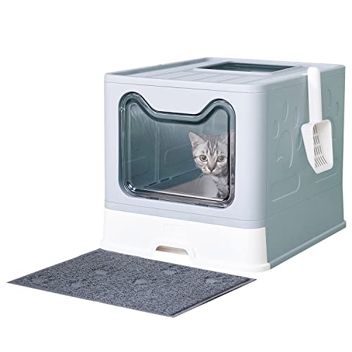 Best Kitty Litter Box for Odor Control Tips for a FreshSmelling Home Totally Reviewed