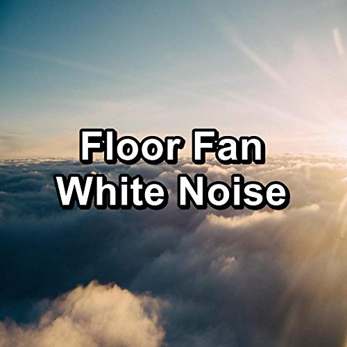 List of Ten Best Floor Fan For White Noise Top Picks 2023 Reviews