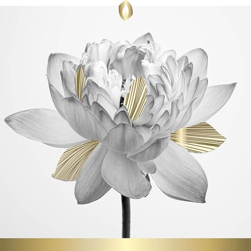 6er Set HOFER GRABKERZEN 7 Tage Brenndauer - Das Original [Gold Select] regenfest | Kerzen mit Deckel | Grablicht, Friedhofskerze mit Motiv | Kerzen für Grabdeko