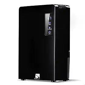 Desumidificador Elétrico Portátil Bivolt Antimofo 2200ml (Preto)