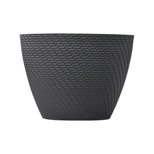 ^oRj[Aؔ͑ؐoϋvv^[~̓vX`bNW[V[ȐAؔrCK[fRh[v^[ (X^CA15C`)