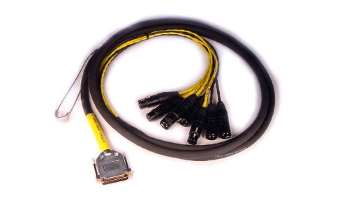 Digidesign DB25-XLR M DigiSnake 12FT 2本 Avid DB25 to XLR M+F AES/EBU DigiSnake - 12 foot | Sweetwater