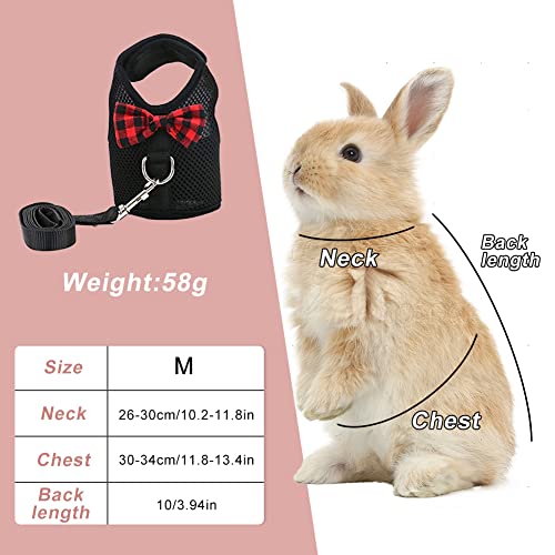 Comodo trasportino per Conigli, Guinzaglio a