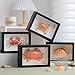 1st Heaven Framed Real Crab Taxidermy – Preserved Specimen for Wall Art, Coastal Home Decor, or Educational Display (Shame-Faced Crab, 6.6 × 4.6 in)