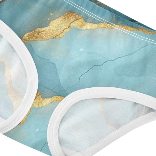 Brief Panties Stretchy Triangle Panties Organic Underwear for Young Girls in Sizes 2T,3T, 4T, 5T, 6Y and 8Y4