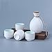 5-częściowy zestaw Sake w stylu tradycyjnego rzemiosła ceramicznego, idealny do sake (kolor: czarny) (biały)