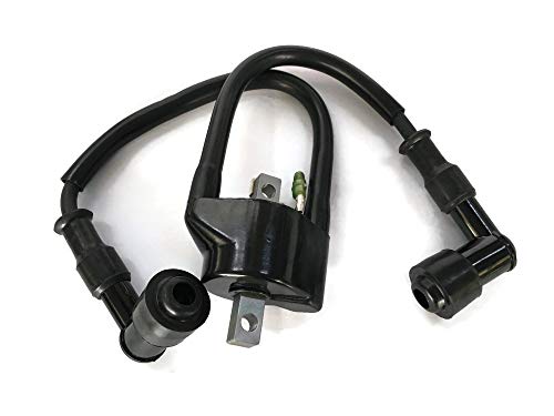 Bobine d'allumage 362-06050-1 : Solution pour moteur hors-bord Nissan qui cale à chaud