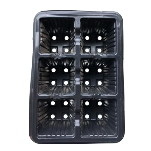 Kit 20 Bandeja Sementeira 6 Células 160ml Vaso Para Produtor de Muda de Plástico Preto Horta
