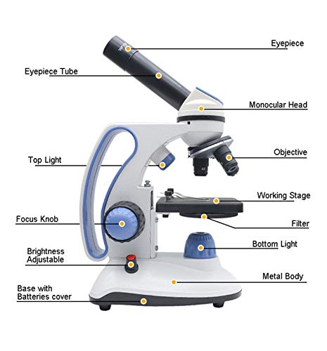 Outil pédagogique microscope scientifique avec coffret de 100 lames