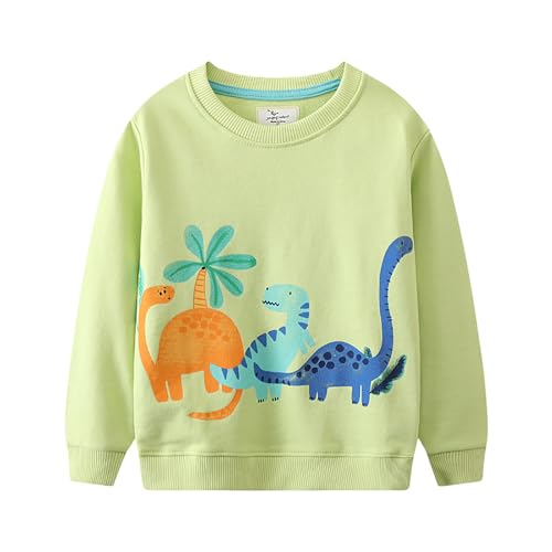 Boys Sweatshirts Casual Sweatshirts Cotton Sweatshirts Long Sleeve T-shirts Crew Neck Cartoon Tops for Boys-155