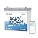 Redodo 12V 100Ah Ultra-Mini RV LiFePO4 Battery, Bluetooth Lithium Battery with Low Temp Protection, Group 22NF Size & 4000+ Deep Cycles, 100A BMS for RV Trolling Motor Off Grid Camping