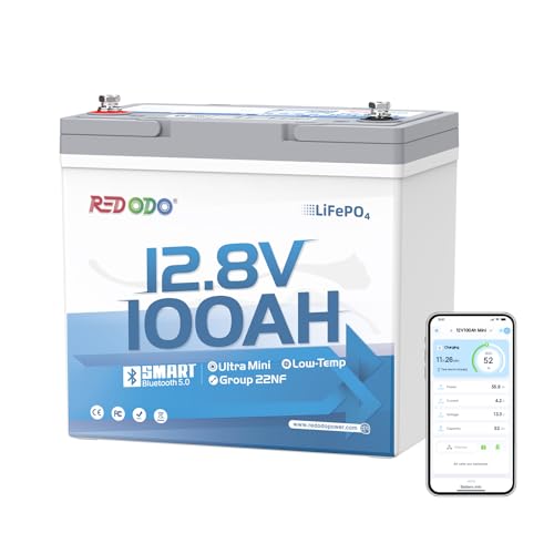 Redodo 12V 100Ah Ultra-Mini RV LiFePO4 Battery Bluetooth Lithium Battery with Low Temp Protection Group 22NF Size & 4000+ Deep Cycles 100A BMS for RV Trolling Motor Off Grid Camping