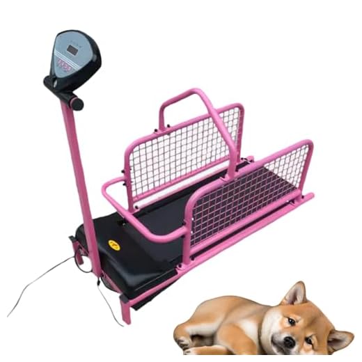 Canine Running Machine with LED Display