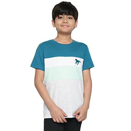 Image of Lil Tomatoes Boys Cotton T-Shirt