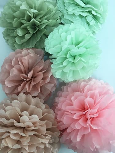 Image of Tissue Paper Pom Poms Kit -Rose Pink and Sage Green Paper Flowers 12pieces for Gender Baby Shower Wedding Bridal Bachelorette Birthday Party Decorations (Green + Pink)