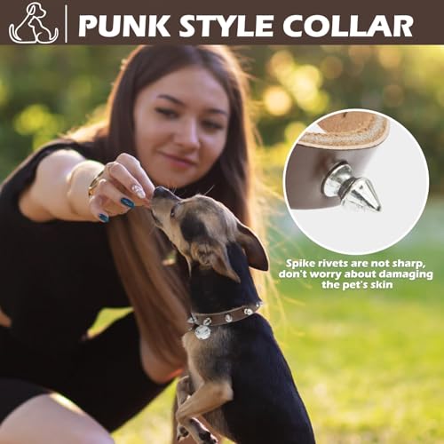 BINGPET Spiked Leather Cat Collar with Bells, Studded Dog Collar with Buckle, Soft Goth Kitten Collars with Spikes Adjustable, Punk Gothic Pet Accessories for Small Dog Puppies, Brown 7.9 "- 10.2" — view 2