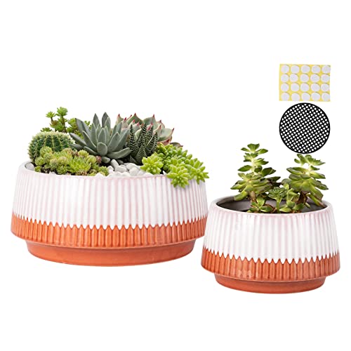 Large Ceramic Succulent Planter Pots With Drainage Hole, 9 + 6 Inch Round Indoor Tabletop Centerpiece Shallow Cactus Pots, Outdoor Garden Plant Bowls, Reactive Red Glazed Flower Container Bowls #TOP21