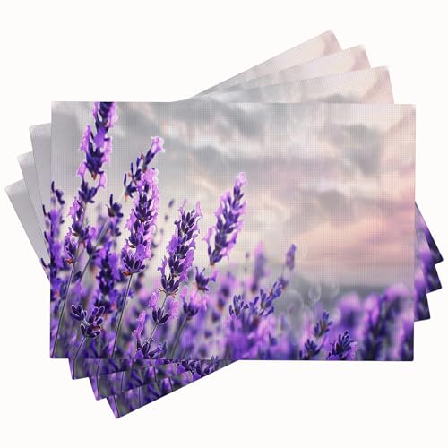 Lavender Placemats Set of 4 Lavender Table Mats Washable Place Mats for Home Party Indoor Kitchen Dining Table Decoration 12x18 Inch