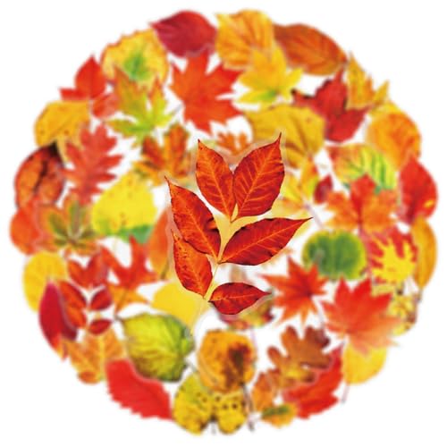 Image of 50 Aesthetic Fallen Leaves Stickers Flora Scrapbook Stickers Pack(Yellow) | Transparent & Waterproof for Water Bottle, Scrapbook Supplies,Junk Journal Supplies, DIY Crafts, Party Supplies
