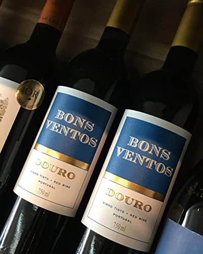 Vinho Bons Ventos Douro Tinto 750ml