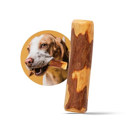 Little Loyals - 100 % natürliches Premium-Olivenholz für Hunde (mittel)