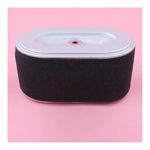 Filtre à air pour EX27 évite l'encrassement du carburateur WM270 référence 279-32607-17