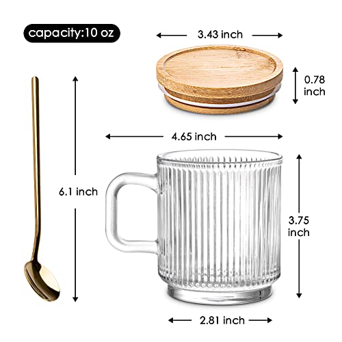 Combler Glass Coffee Mugs, Espresso Cups For Coffee Bar Accessories, Clear Coffee Mug Set Of 2, 11Oz Glass Coffee Cups With Lids And Spoon, Cute Ribbed Glassware Set For Latte, Cappuccino, Tea, Gift #TOP4