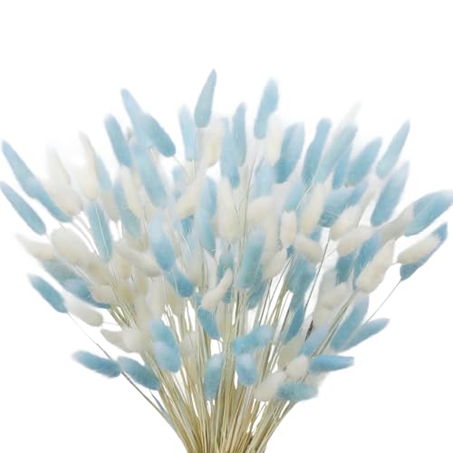CISDUEO 120pcs Dried Bunny Tails Flowers Lagurus...