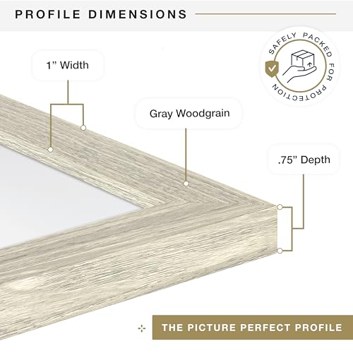 MCS Studio Gallery 19.75x27.5 Poster Frame Grey Woodgrain, Vertical & Horizontal Wall Hanging Large Picture Frame for Photos, Posters & Art Prints (1-Pack)