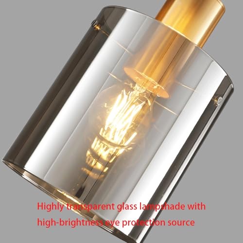 Lámpara de techo industrial vintage con tulipa transparente para salones 5