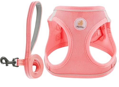 Dog Harness and Leash Set, No Pull Soft Mesh Puppy Harness for Sm...
