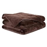 EASELAND Soft Queen Size Blanket Warm Fuzzy Microplush Lightweight Thermal Fleece Blankets for Couch