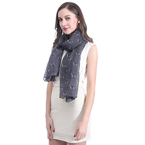 Lina & Lily Beagle Dog Print Large Scarf Lightweight, Gift for Dog Lover2