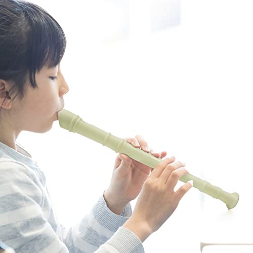 3 Pack 8 Hole Soprano Recorders Descant Flute, Fingering Recorder Instrument With Cleaning Rod And Storage Bag, Soprano Recorder Instrument For Beginners Kids (White) #TOP5