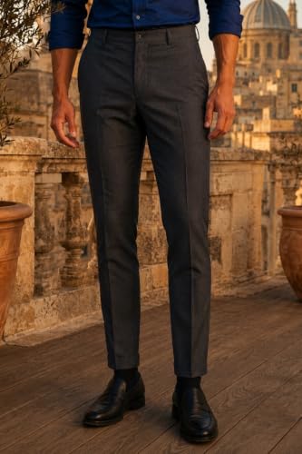 Image of Louis Philippe Men's Regular Fit Fashionable Pleated Trouser Work Ready Solid Formal Trouser