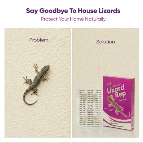 Image of Mikado's Lizard Rep| Eco-Friendly, Biodegradable, Irritant-Free, Chemical-Free Protection| For Homes, Kitchen, Living Room & Bathroom| Herbal, Non Hazardous & Odourless| Safe For Kids & Pets| Easy To Use| Long Lasting Lizard Rep| Pack of 5 cubes