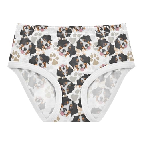 Girls' Underwear Bernese Mountain Dog Cotton Stretch Comfort Toddler Panties