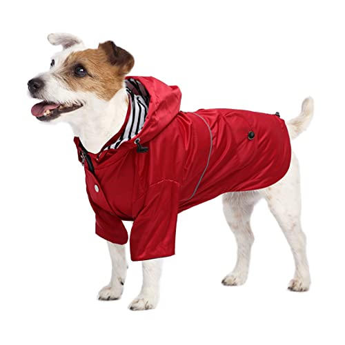 12 Dog Products That Are Stylish and Actually Work Retrievist