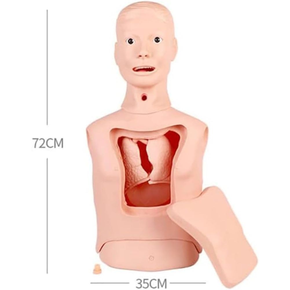 Model manekina do połowy ciała do treningu nosowo-żołądkowego, pielęgnacji tchawicy, płukania żołądka i symulacji karmienia