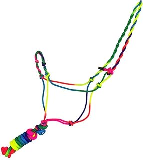 Bright Ombre Color Cowboy Knot Rope Halter
