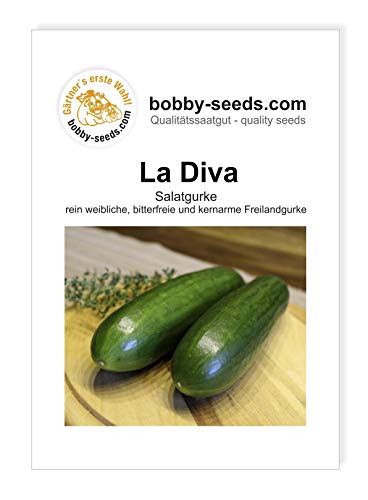 Preisvergleich Produktbild Gurkensamen La Diva Salatgurke Portion
