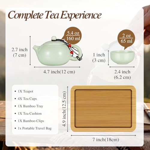 Flexzion Portable Gongfu Tea Set with Travel Case